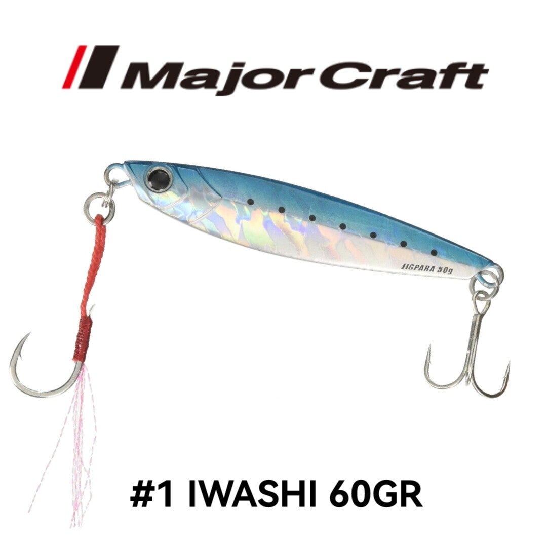 MAJORCRAFT SHORT 60GR #1 IWASHI