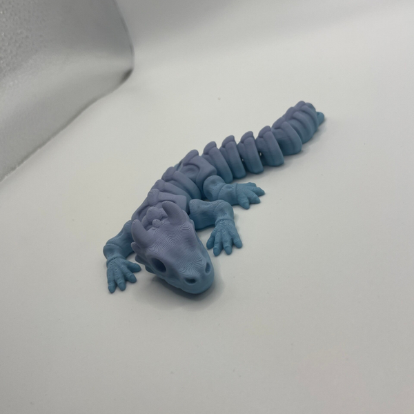 Multicoloured skeleton dragon