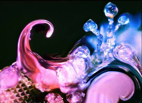 Splash