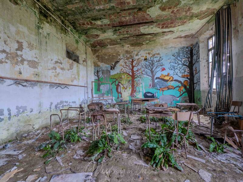 p1085865-hdr-standard.jpg