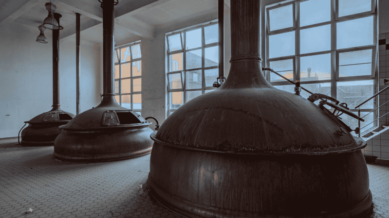 Drie grote, authentieke koperen brouwketels met patina in een verlaten Belgische brouwerij. Het zonlicht valt door de hoge ramen van de industriële witgepleisterde ruimte, wat de historische sfeer van deze urbex-locatie benadrukt.