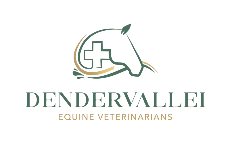 Dendervallei, Dierenarts Paard: Hanne Gallant, Fien Daelman, Karen Dehenau