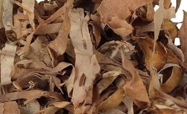 Berkenbast/ Betulae cortex conc va 50gr