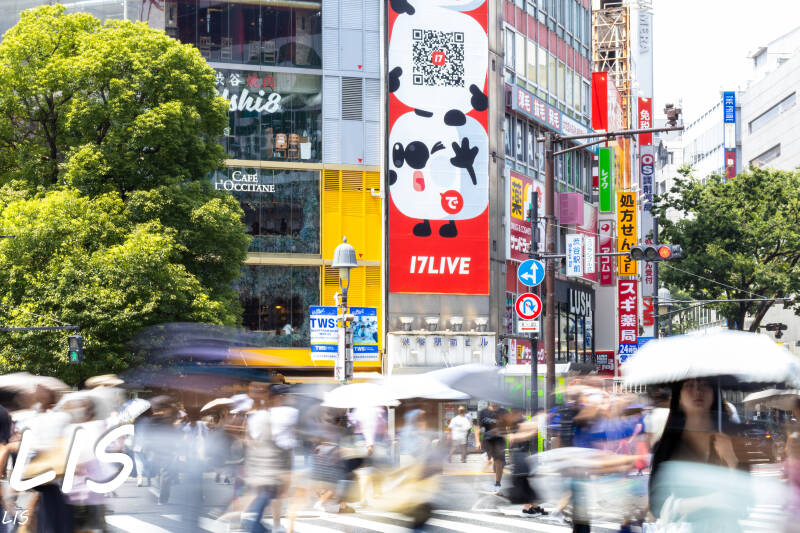 Shibuya Crossing Action