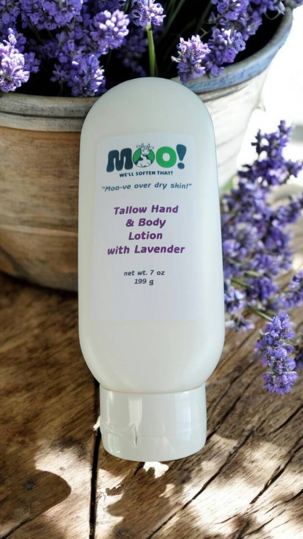 Lavender Tallow Hand and Body Lotion