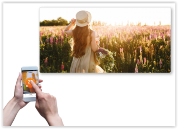 Infrarood verwarmingspanelen, WIFI thermoregulator + PRINT TF-SWT/40