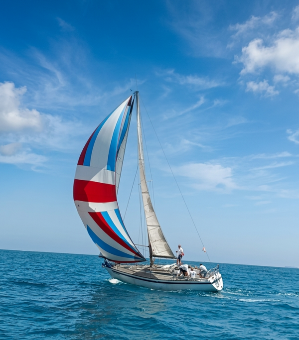 KALIK 33