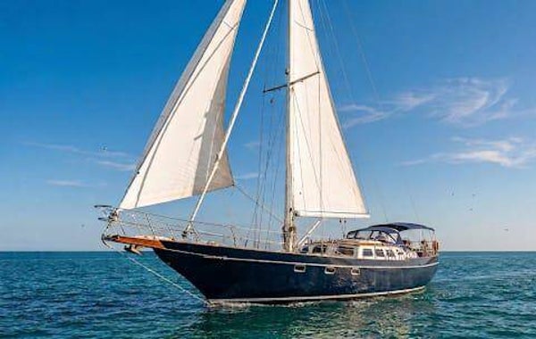 BELLIURE 50