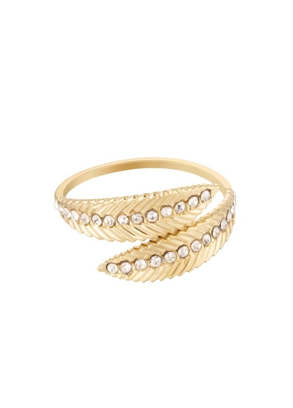 Ring Veer