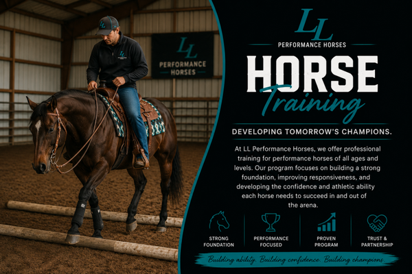 Horse Training starting at