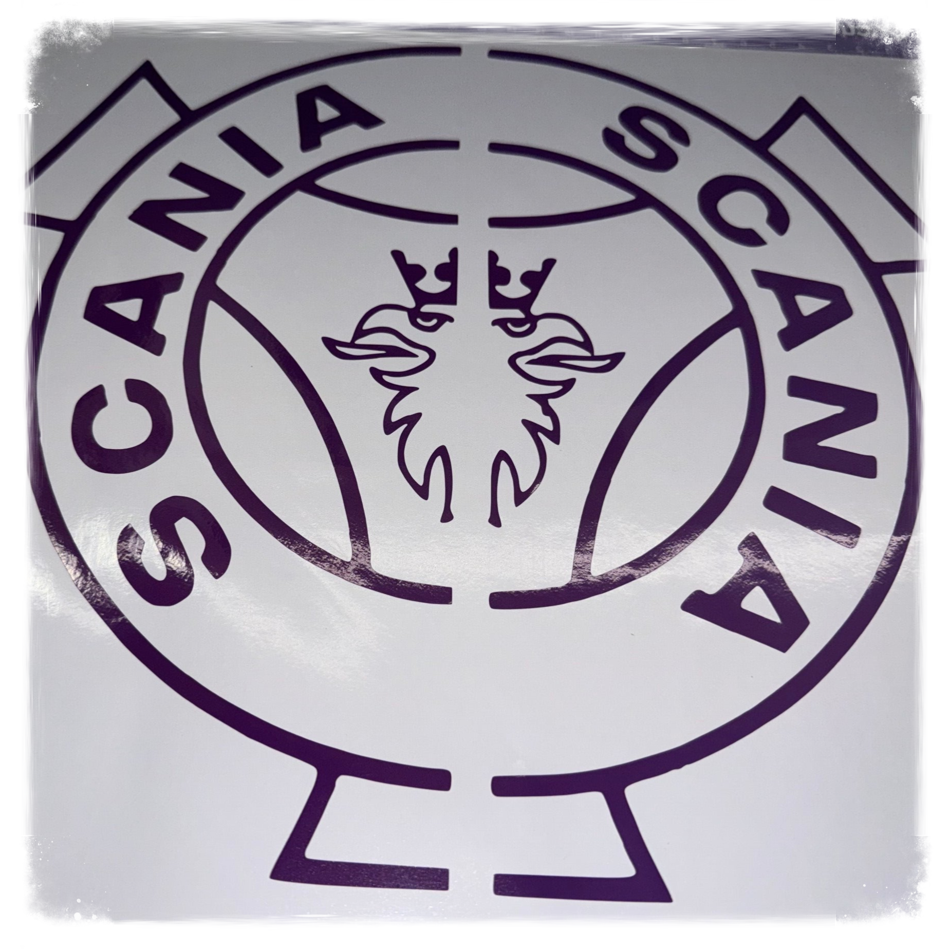 Stikers fenêtre Scania 1