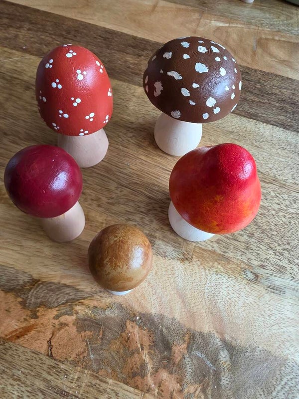 Houten paddenstoelen set 2