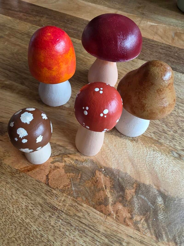 Houten paddenstoelen set 3