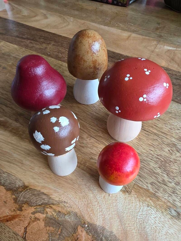 Houten paddenstoelen set 4