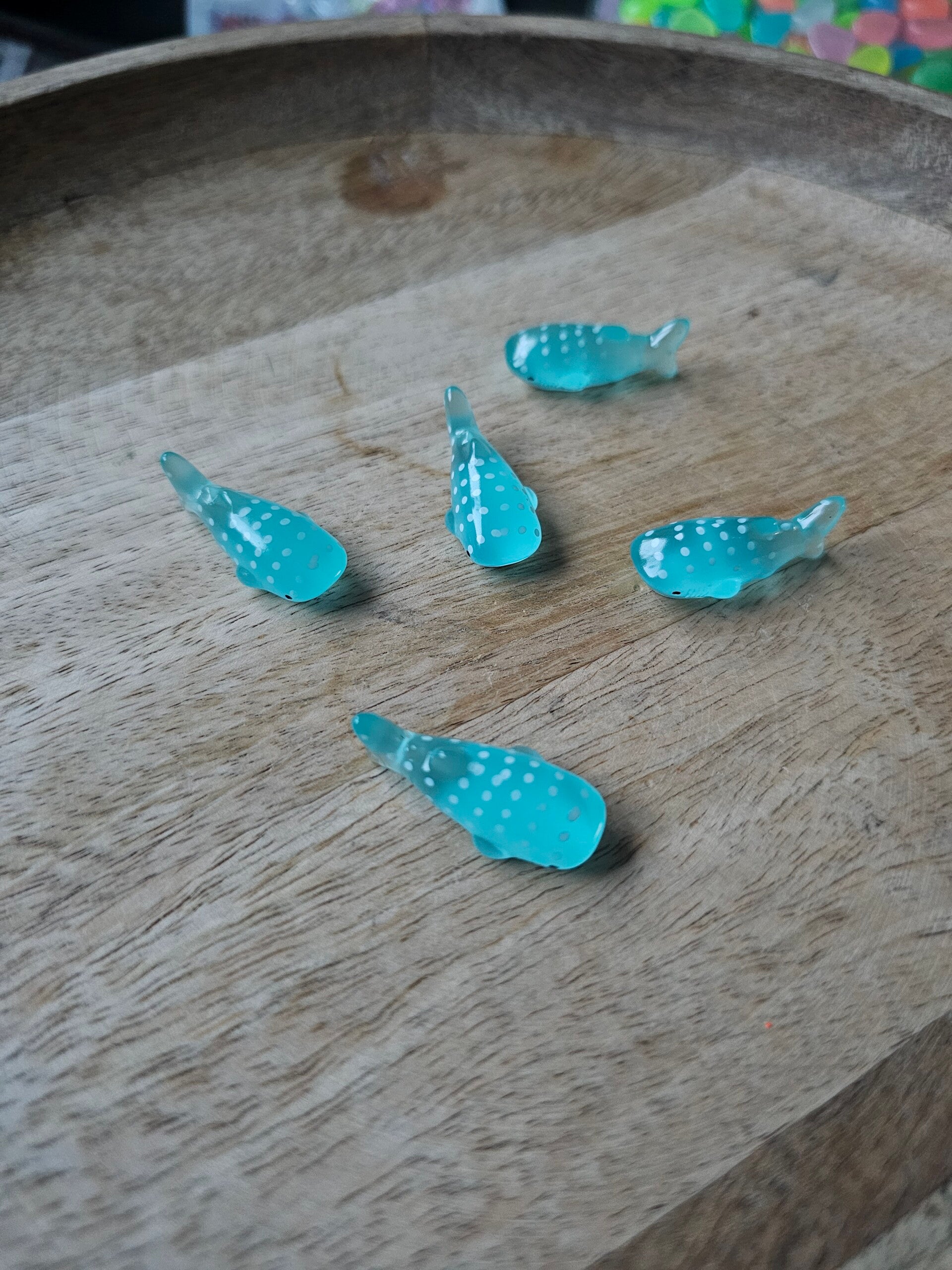 Loose parts, walvishaaien