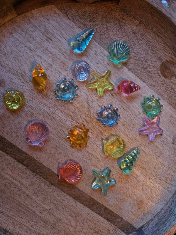 Loose parts, zeeschelpen een zeesterren, groot