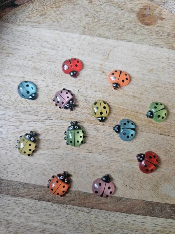 Loose parts, lieveheersbeestjes