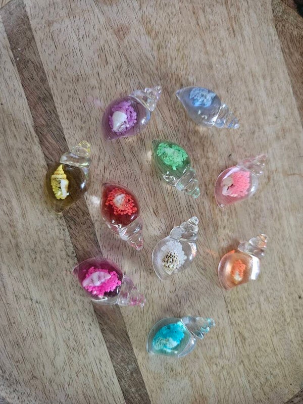 Loose parts, grote schelpen