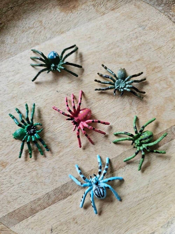 Spinnen, set 2