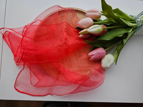 Speelsjaal, koraalrood