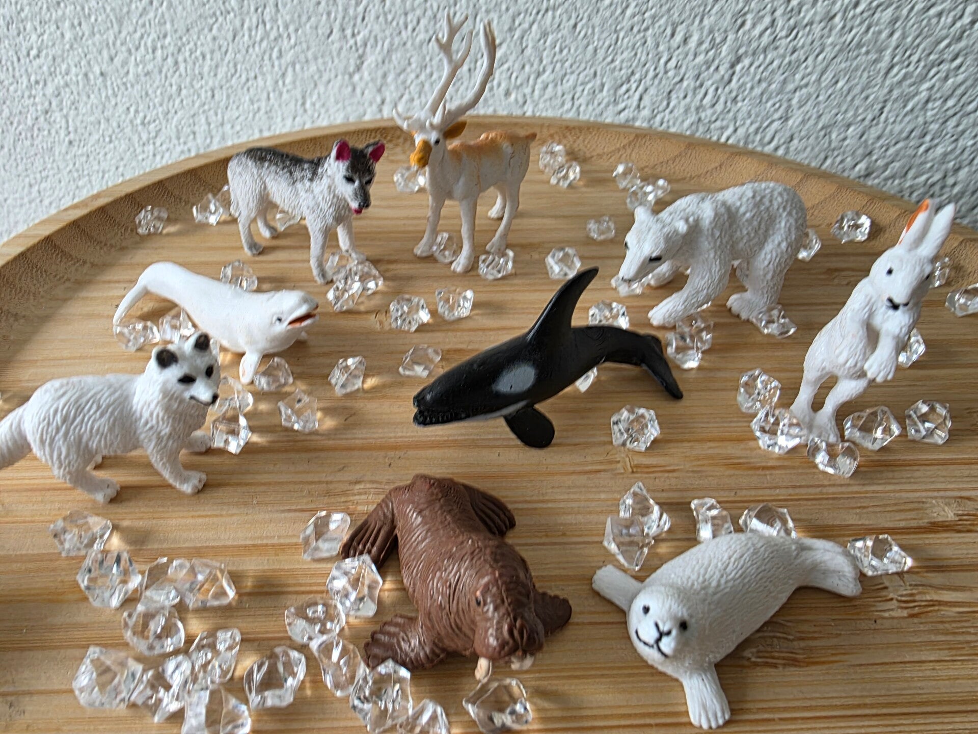 Noordpooldieren, set 1