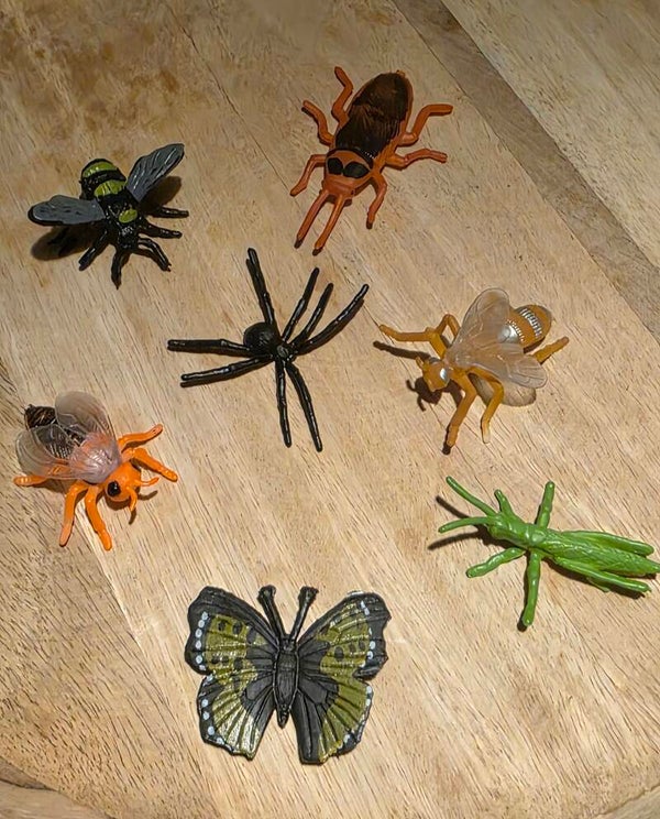 Kriebelbeestjes, set 5