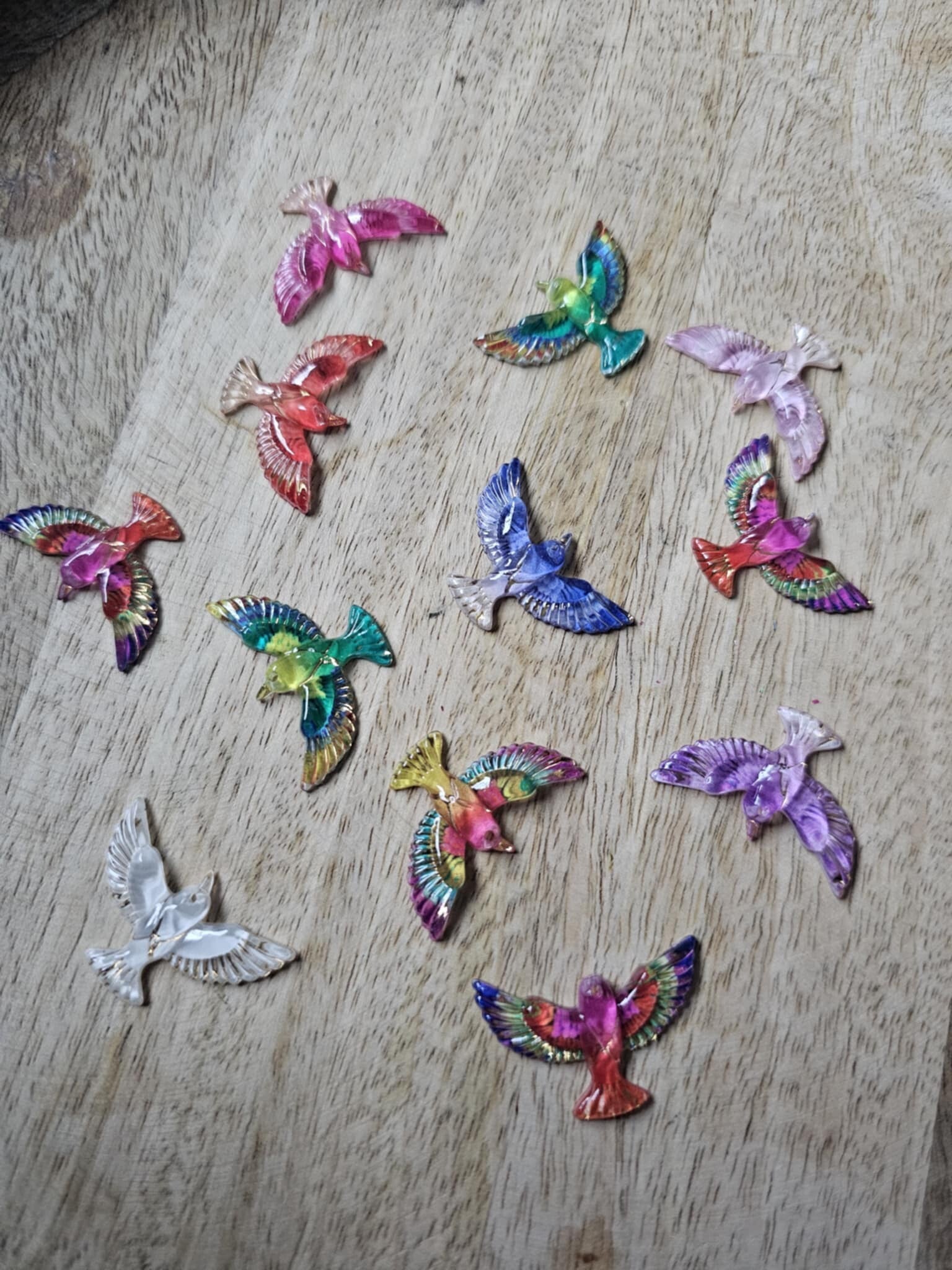 Loose parts, regenboog vogels