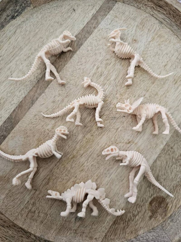 Kleine dino skeletten