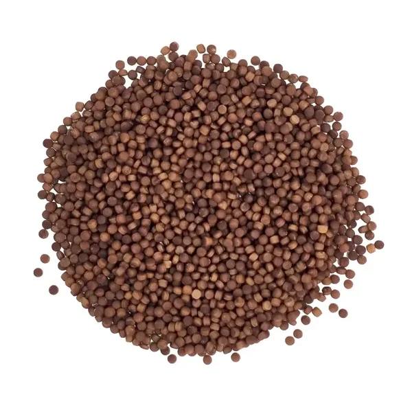 Colordots, bruin