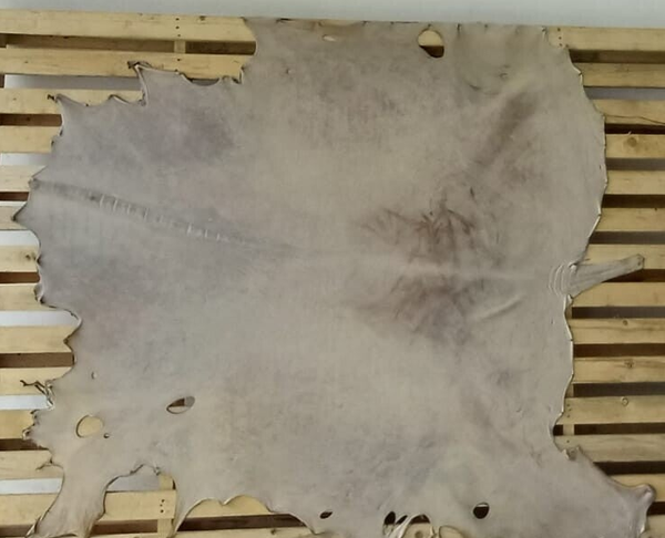 Pieles Vaca (Percusión)