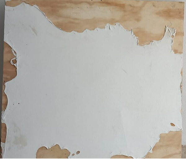 Piel de oveja ( Blanca)