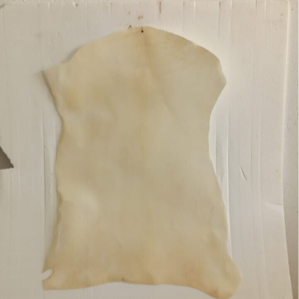 Piel de oveja ( Tambor )