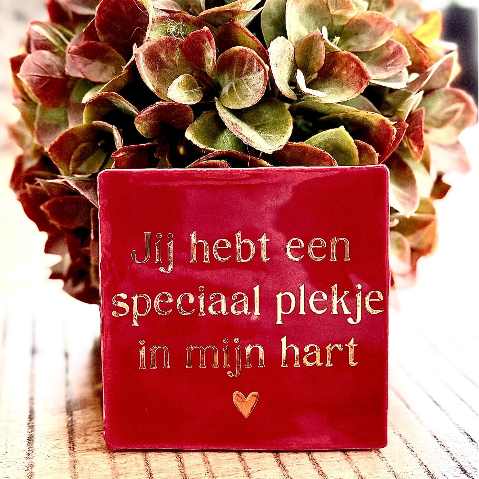 Plekje in mijn hart | Tegeltje