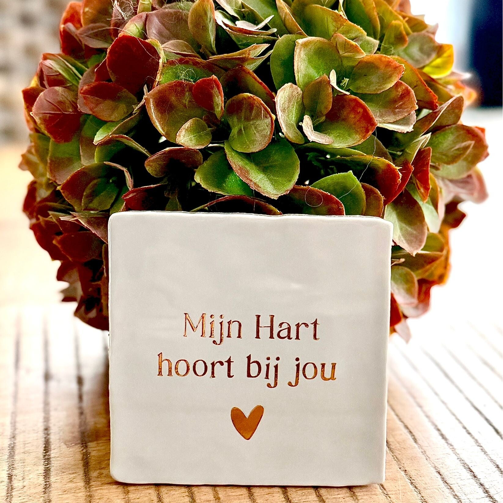 Mijn hart hoort bij jou | Tegel