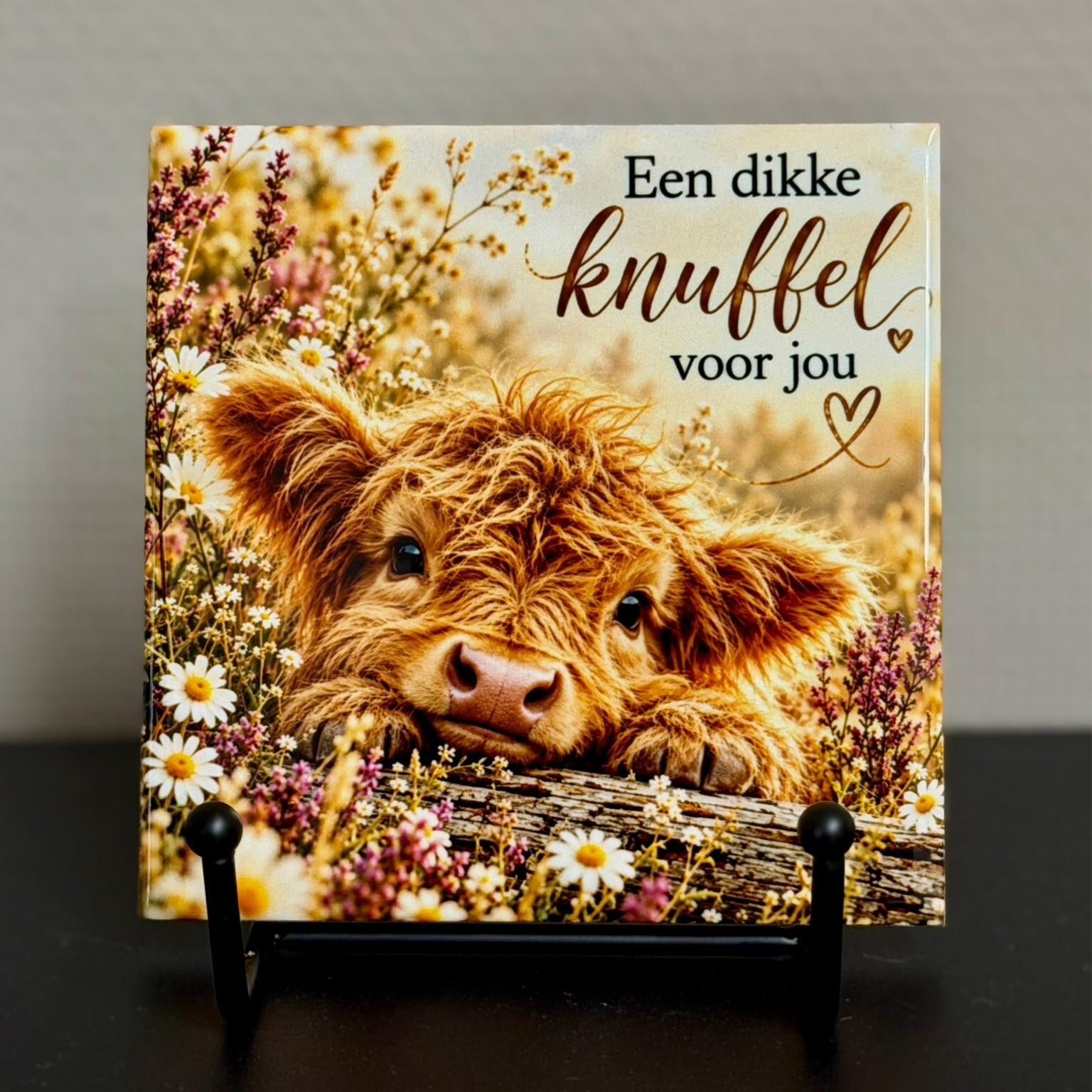 Tegeltje | Knuffel voor jou