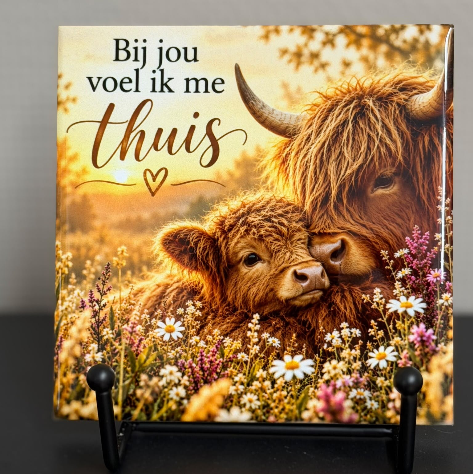 Tegeltje | Thuis