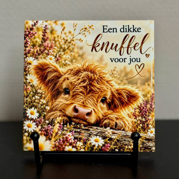 Tegeltje | Knuffel voor jou