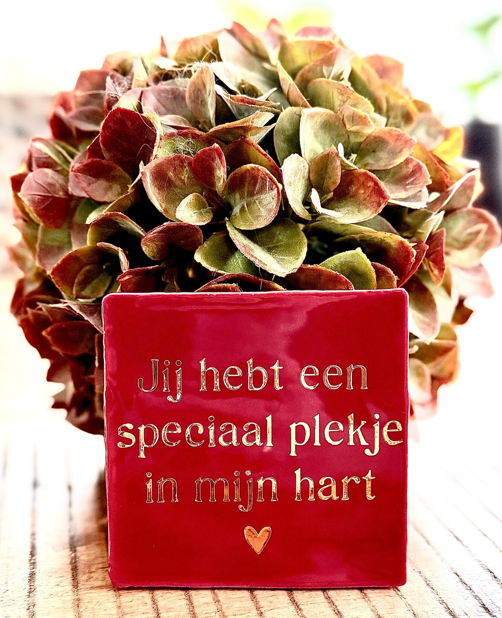 speciaal plekje | Tegeltje