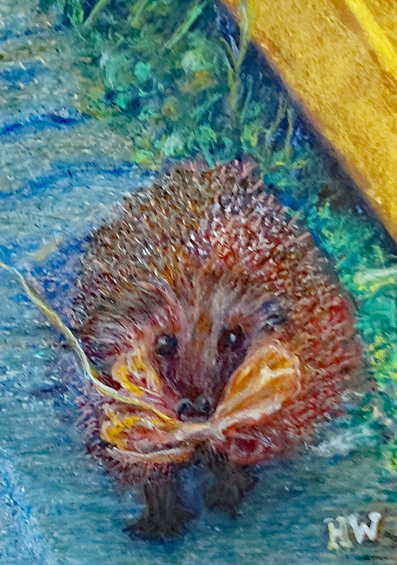 Garden Hedgehog
