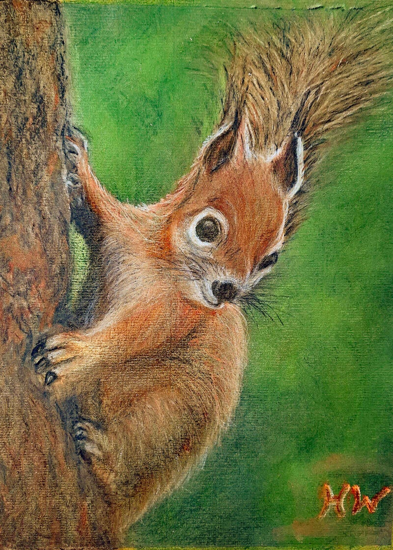 Climb or snack