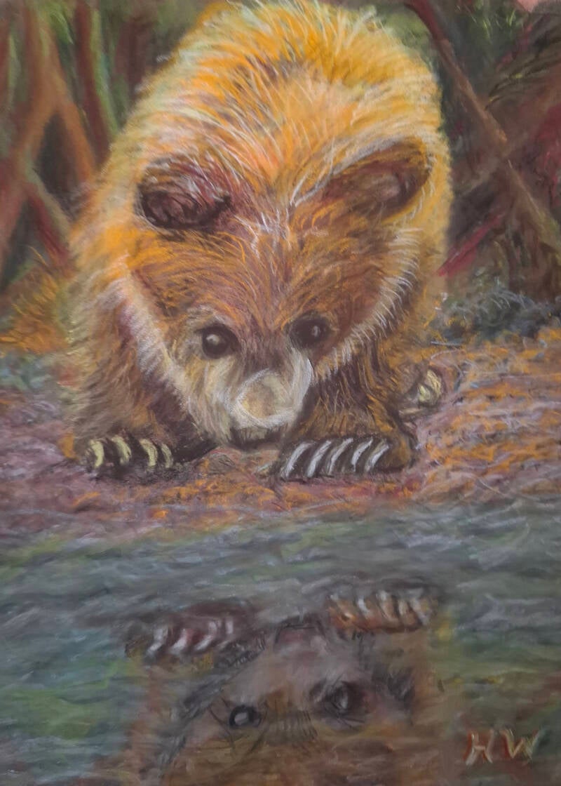 Little bear amazed