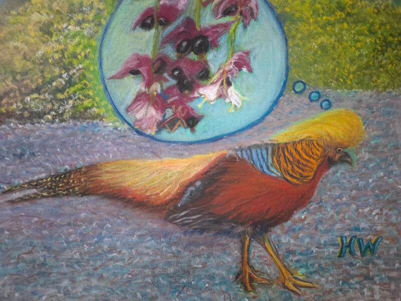 Craving for pheasant berries