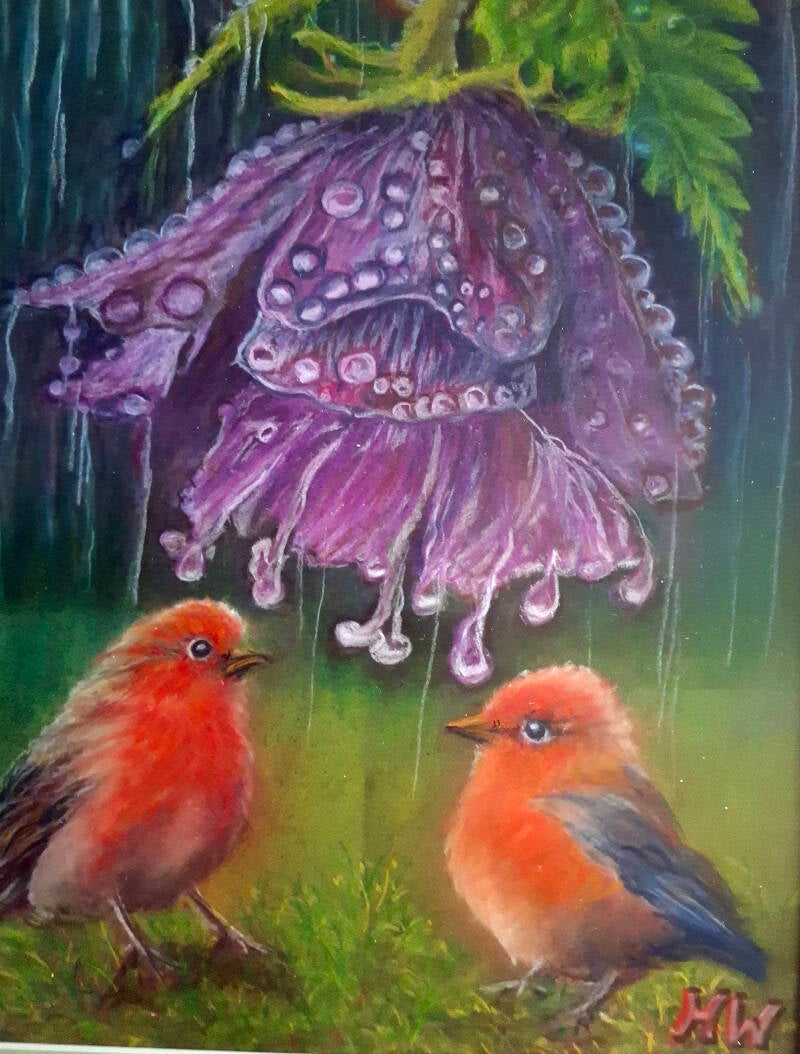 robins sheltering from the rain