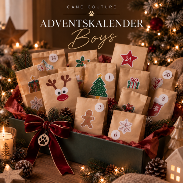 Adventskalender Boys
