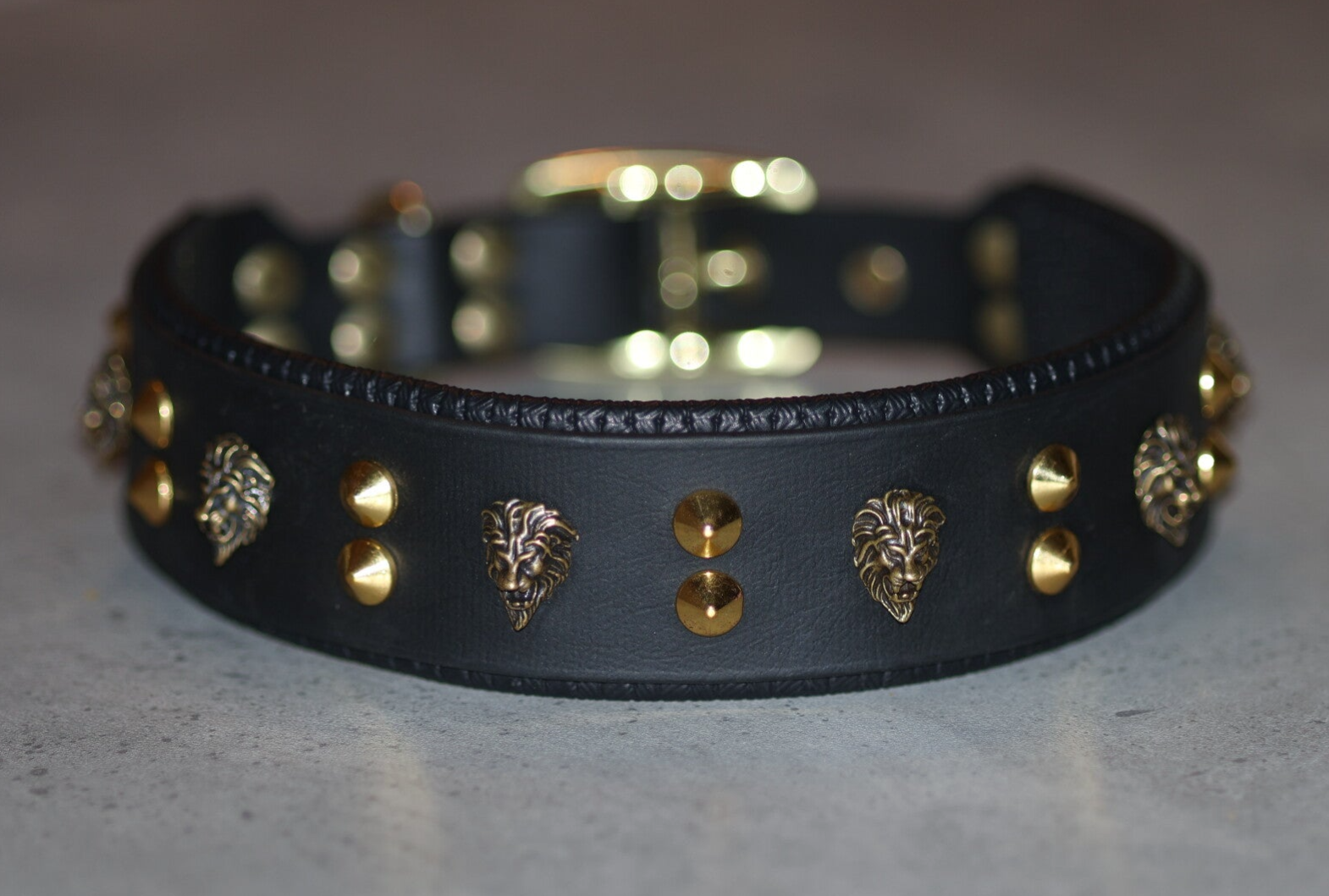 Halsband Lion