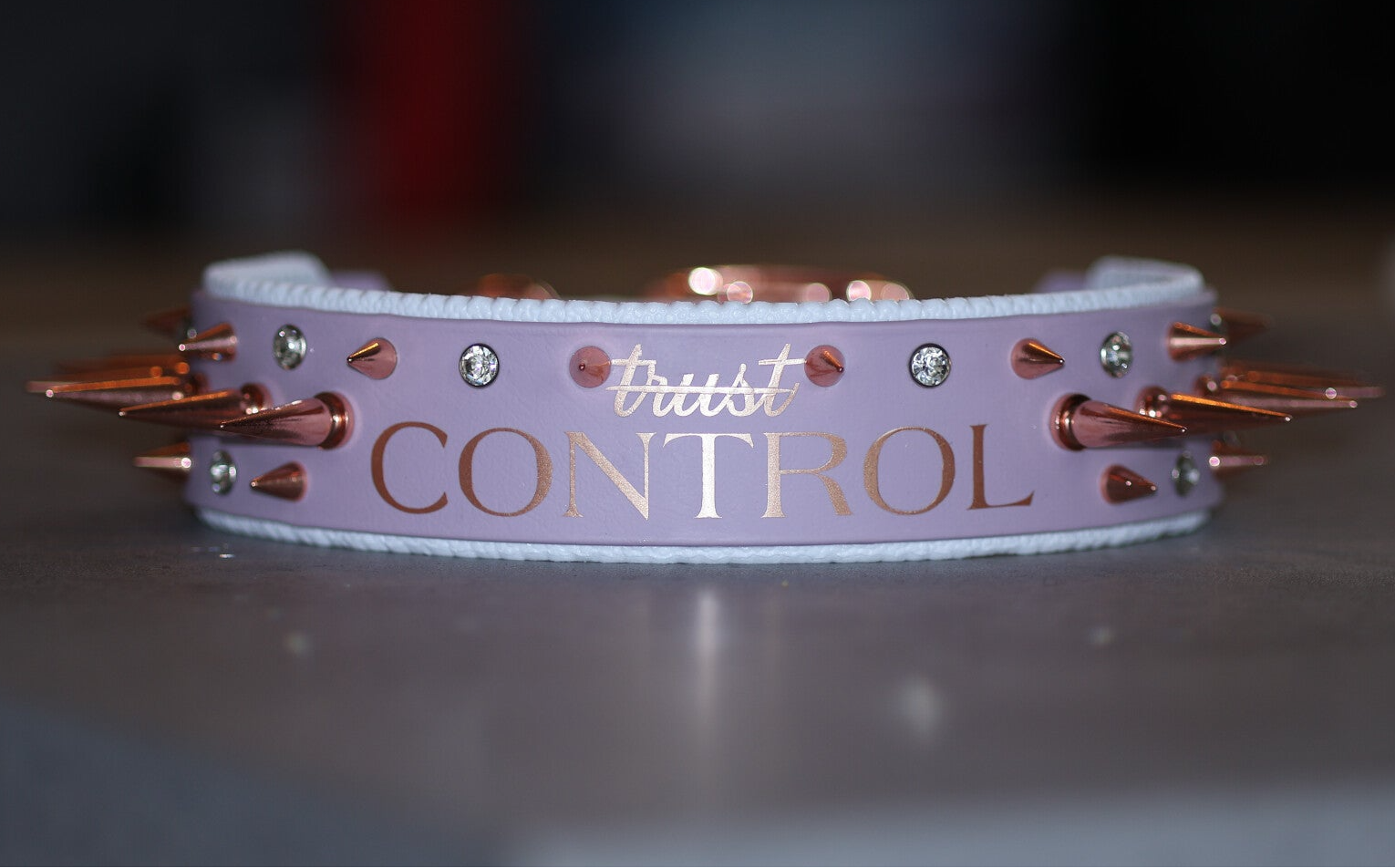 Halsband Control