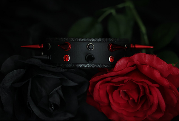 Halsband Desire