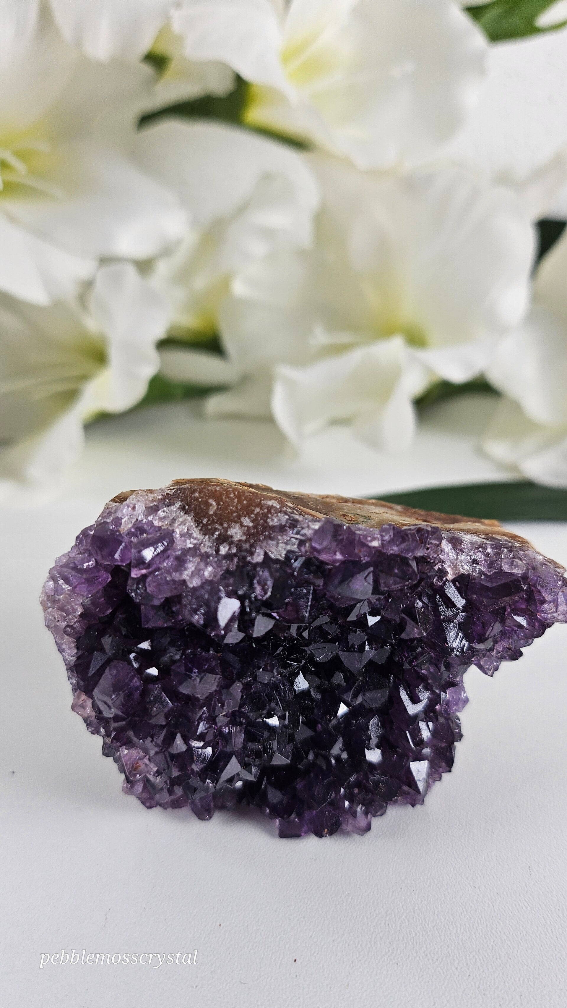 Amethyst Cluster 19