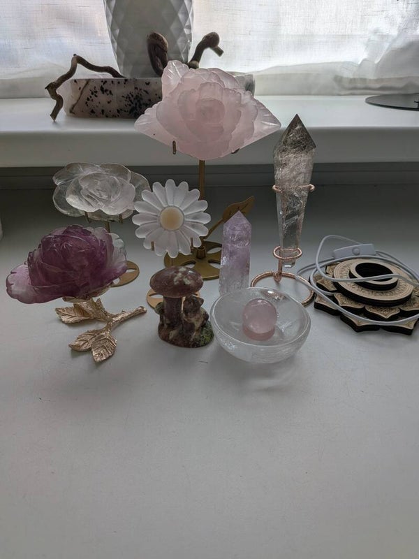 wonnisonne Livesale 28.04.2026