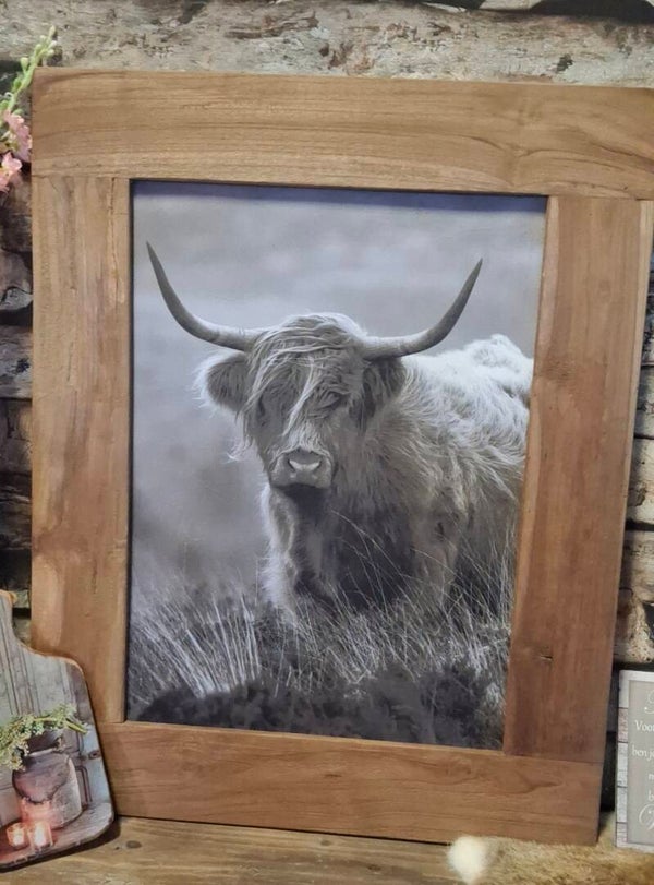 Teak houten lijst met doek Schotse hooglander